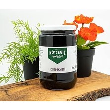 Gndz Home Köyceğiz Yöresel Dut Pekmezi 800 G Cam Kavanoz