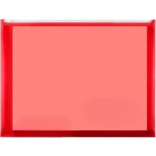 A4 Şeffaf Fermuarlı Dosya Kırmızı 1 Adet Pvc Fermuarlı Evrak Dosyası 24X34CM Çıtçıtlı Be