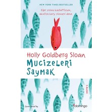 Domingo Yayınevi Mucizeleri Saymak