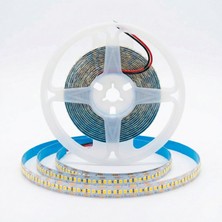 Gndz Home 12V Yüksek Lümen Şerit Led: Metrede 60,120,240 LED - Beyaz,günışığı,amber Renk Seçenekleri - 5,10,15,20,25 Metre Seçenekleri - Iç Mekan Aydınlatma (5 Metre - 240 Led/metre, Günışığı)