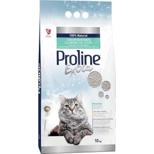 Extra Sodıum Bentonite Gri Bentonit Topaklaşan Kedi Kumu 10 L