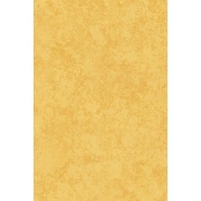 Renas Store Desenli Kendiliginden Yapışkanlı Kaplama Folyosu 45 cm x 1 mt EFL252