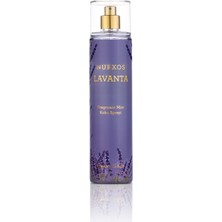 Nurxos Lavanta Kadın Fragrance Mist 250 ML – Çiçeksi Odunsu Parfüm Koku Spreyi - 9062