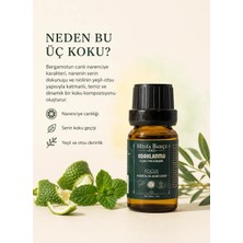 Minia Bahçe Odaklanma (Focus) Uçucu Yağ Karışımı – 10 ml | Bergamot, Nane ve Nioli Yağları