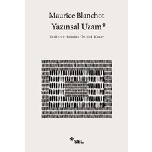 Lisinya Yazınsal Uzam
