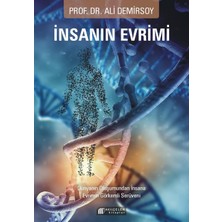 Lisinya Insanın Evrimi