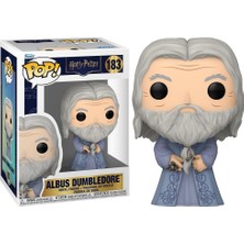 Funko Pop Harry Potter Albus Dumbledore With Horcrux