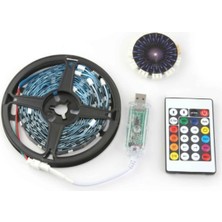 Hsc Bilişim Buğz Rgb Şerit LED Iç Mekan Palmiye Model