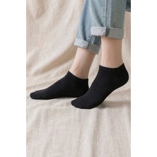 Moda Erva 34 Bilek Boy Patik Çorap 3'lü Set