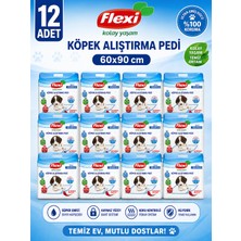 Flexi Köpek Alıştırma Çiş Pedi - 60X90CM 30'lu Paket - 12X