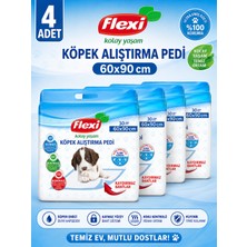 Flexi Köpek Alıştırma Çiş Pedi - 60X90CM 30'lu Paket - 4x