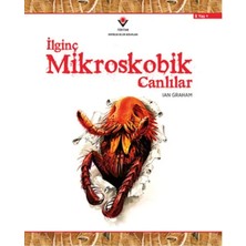 Trendexa Ilginç Mikroskobik Canlılar