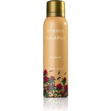 Nurxos Kalanşo Erkek Deodorant 150 ML – Oryantal Baharatlı Parfüm Spreyi - 9358