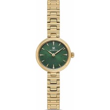 Momentus CW313G-15SG