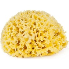 %100 Doğal Akdeniz Süngeri - Bebek Banyo Süngeri - Size:8