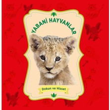 Lisinya Yabani Hayvanlar - Dokun ve Hisset
