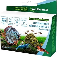 Akvaryum Bitkisi Tohumu, Hemianthus Callitrichoides, Enerji Desteği