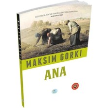 Trendexa Özet - Ana