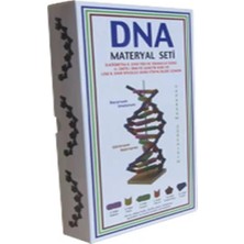 Deney Setı Dna