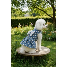 Patilinka Kedi - Köpek Yazlık - Mevsimlik Payetli - Güpürlü Kot Elbise - Jile - Kıyafet - Tişört