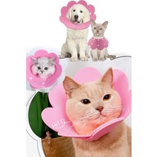 Evcil Hayvan Xl Boy Keçe Yakalığı Kedi Köpek Evcil Hayvan Kafa Yaralanma Engelleme Aparatı