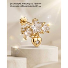 Begonia Accessories 316L Cerrahi Çelik Altın Kaplama Kararmaz Alerji Yapmaz Zirkon Taş Figür Unisex Tragus Helix Küpe PIERCING-178-14