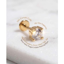 Begonia Accessories 316L Cerrahi Çelik Altın Kaplama Kararmaz Alerji Yapmaz Zirkon Taş Figür Unisex Tragus Helix Küpe PIERCING-178-10