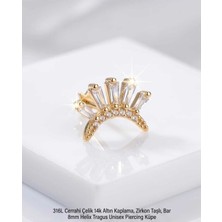 Begonia Accessories 316L Cerrahi Çelik Altın Kaplama Kararmaz Alerji Yapmaz Zirkon Taş Figür Unisex Tragus Helix Küpe PIERCING-178-15