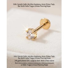 Begonia Accessories 316L Cerrahi Çelik Altın Kaplama Kararmaz Alerji Yapmaz Zirkon Taş Figür Unisex Tragus Helix Küpe PIERCING-178-16