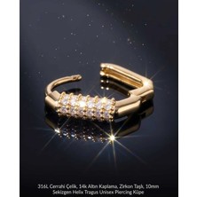 Begonia Accessories 316L Cerrahi Çelik Altın Kaplama Kararmaz Alerji Yapmaz Zirkon Taş Figür Unisex Tragus Helix Küpe PIERCING-178-30