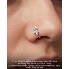 Begonia Accessories 925  Ayar Gümüş Zirkon Taşlı Unisex Hızma Küpe Çivi Halka Minimal Şık Modern Tasarım 178-11