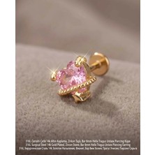Begonia Accessories 316L Cerrahi Çelik Altın Kaplama Kararmaz Alerji Yapmaz Zirkon Taş Figür Unisex Tragus Helix Küpe PIERCING-178-12