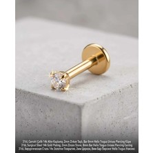 Begonia Accessories 316L Cerrahi Çelik Altın Kaplama Kararmaz Alerji Yapmaz Zirkon Taş Figür Unisex Tragus Helix Küpe PIERCING-178-23