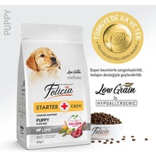 Bezos Hypoallergenic Small Mini Kuzulu Küçük Irk Düşük Tahıllı Yavru Köpek Maması 6 kg