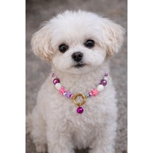 Femenino Köpek Kolyesi Zilli Pet Kolye Aksesuarı Küçük ve Orta Irklar Için