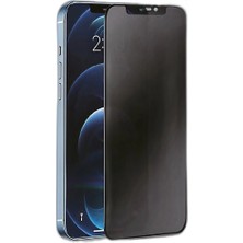 Raftan Topla Iphone 16E 3D Antistatik Hayalet Cam Ekran Koruyucu