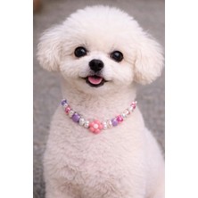 Femenino Özelleştirilebilir Ayarlanabilir Köpek Kolyesi