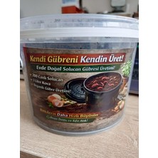 Farm Evde Solucan Gübresi Üretim Kiti | Canlı Kompost Solucanları ile Evde Kendi Organik Gübrenizi Üretin