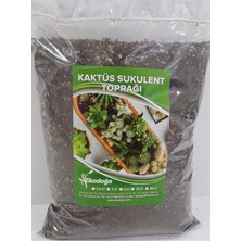 Kaktüs Toprağı 1 Litre Sukulent Aloe Vera Toprağı Özel Karışım Ithal Torf Pomza Perlit Vermikulit