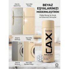 CAXCOLORS Cax Beyaz Eşya Boyası Sprey 400 ml - Buzdolabı Çamaşır Makinesi Klima Boyası, Astar Vernik Istemez