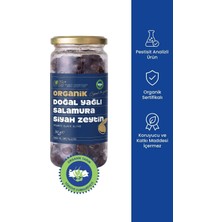OTS Organik Organik Siyah Zeytin Gemlik Tipi Doğal Yağlı Salamura
