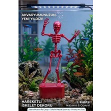 Ognami Dans Eden Iskelet Akvaryum Hava Taşı Dekoru Hareketli 3D Baskı