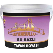 Tavan Boyası