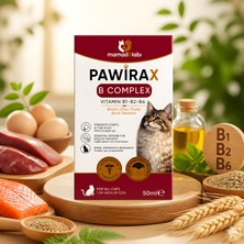 Pawirax B Complex Kedi Vitamini 50 ml – B1 B2 B6, Biotin, Çinko ve Folik Asit Içeren Tamamlayıcı Yem