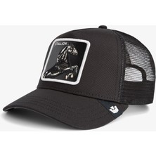 Goorin Bros Stallion Trucker Unisex Gri Şapka.dustvoıd