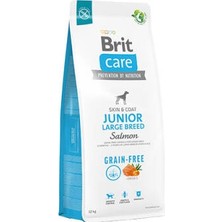 Bezos Skin Coat Somonlu Büyük Irk Tahılsız Yavru Köpek Maması 12 kg
