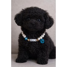 Femenino Zilli Özelleştirilebilir Isimli Ayarlanabilir Inci Köpek Kolyesi