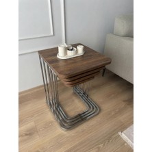 Eryalux Home 4'lü Tekerli Zigon Sehpa (Gümüş - Barok Ahşap)