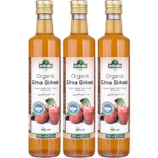 Organik Elma Sirkesi 500ML (2 Adet)