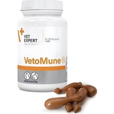 Vet Expert Vetomune Kedi ve Köpek Vitamini, 60 Kapsül